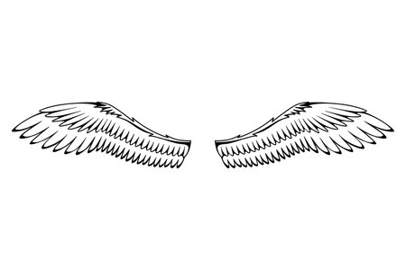 Wings sketch. Stylized birds wings. Hand drawn contoured stiker wing in open position. Vector design elements in coloring styleのイラスト素材