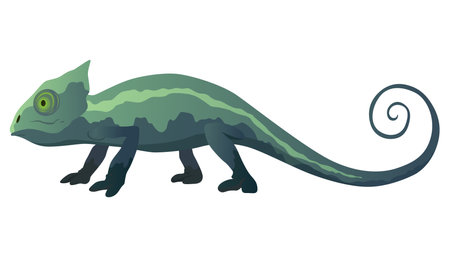 Chameleon lizard. Reptiles with curved tail and camouflage skin, tropical wildlife. Vector exotic animal illustrationのイラスト素材