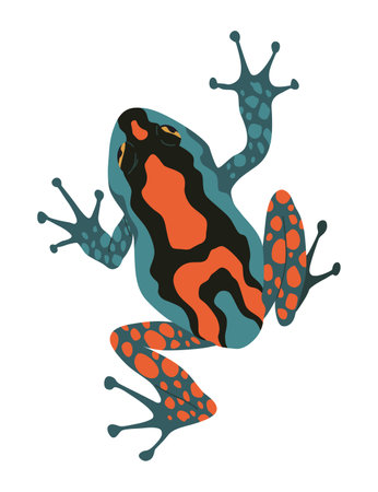 Frog or toad, amphibian animal. Type of froggy. Exotic tropical reptile. Flat vector illustration on white backgroundのイラスト素材