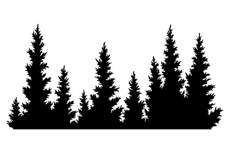 Fir trees silhouette. Coniferous spruce horizontal background pattern, black evergreen woods vector illustration. Beautiful hand drawn panorama of coniferous forestのイラスト素材