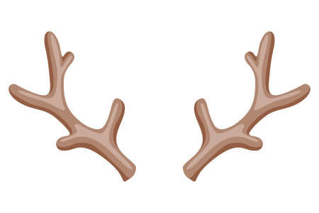 Horns. Hunting trophy. Vector horned wild animal. Pairs of antlers. Vector illustration of hunted animal, wildlife decoration conceptのイラスト素材