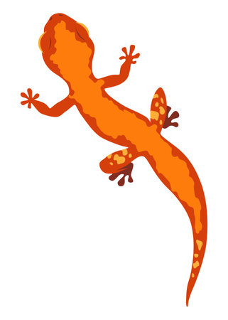 Lizard icon. Tropical colorful decorative amphibian. Fauna character in wildlife or zoo. Wildlife colorful creature isolated on white vector illustrationのイラスト素材