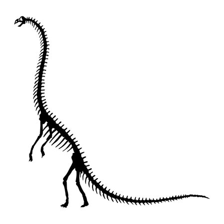 Dinosaur skeleton. Dino monsters icon. Shape of real animal. Sketch of prehistoric reptiles. Vector illustration isolated on white. Hand drawn sketchのイラスト素材