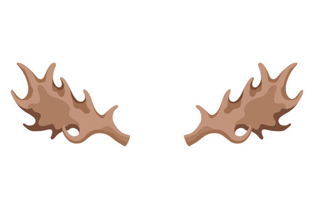 Horns. Hunting trophy. Vector horned wild animal. Pairs of antlers. Vector illustration of hunted animal, wildlife decoration conceptのイラスト素材