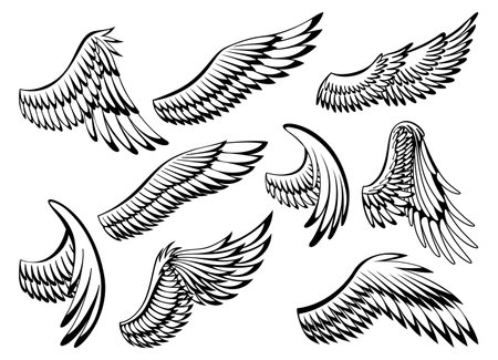 Wings sketch collection. Stylized birds wings. Hand drawn contoured stiker wing in open position. Vector design elements in coloring styleのイラスト素材
