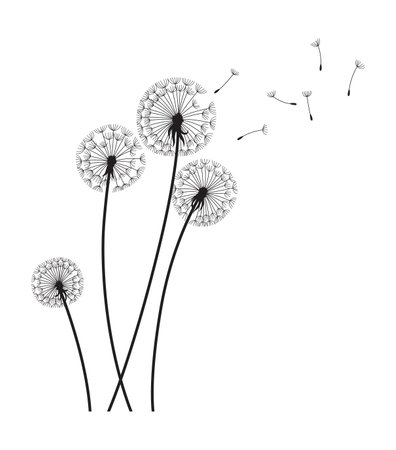 Dandelion wind blow background. Black silhouette with flying dandelion buds on white. Abstract flying seeds. Decorative graphics for printing. Floral scene designのイラスト素材