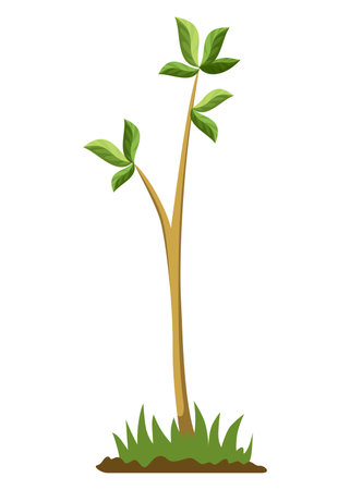 Stage of tree growth. Small tree growth with green leaf and branches. Illustration of business cycle developmentのイラスト素材