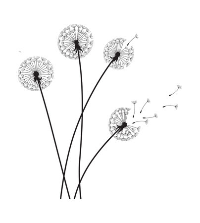 Dandelion wind blow background. Black silhouette with flying dandelion buds on white. Abstract flying blow dandelion seeds. Decorative graphics for printing. Floral scene designのイラスト素材