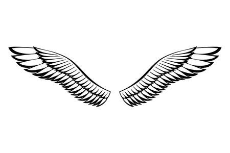 Wings sketch. Stylized birds wings. Hand drawn contoured stiker wing in open position. Vector design elements in coloring styleのイラスト素材