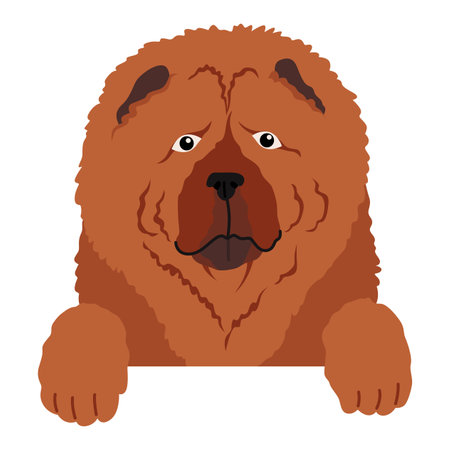 Dog hanging on border. Portrait of muzzles with paws. Front view. Flat vector designのイラスト素材