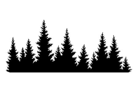 Fir trees silhouette. Coniferous spruce horizontal background pattern, black evergreen woods vector illustration. Beautiful hand drawn panorama of coniferous forestのイラスト素材