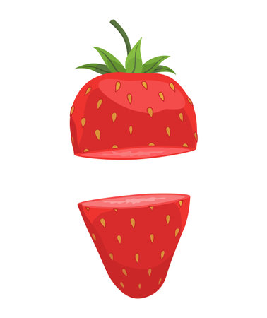 Fresh and Delicious Strawberry for Your Culinary Creationsのイラスト素材