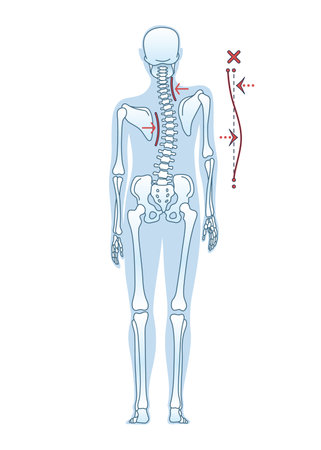 Standing Posture for Achieving Better Health and Wellnessのイラスト素材