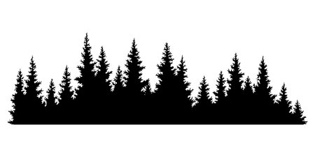 Fir trees silhouette. Coniferous spruce horizontal background pattern, black evergreen woods vector illustration. Beautiful hand drawn panorama of coniferous forestのイラスト素材