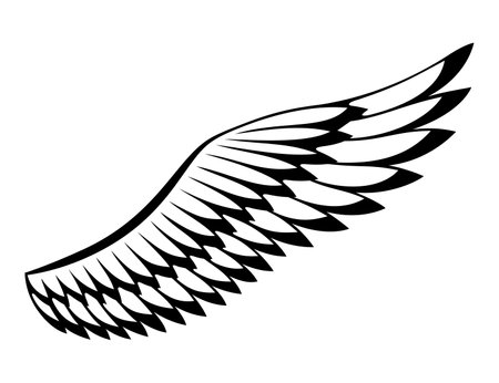 Wings sketch. Stylized birds wings. Hand drawn contoured stiker wing in open position. Vector design elements in coloring styleのイラスト素材