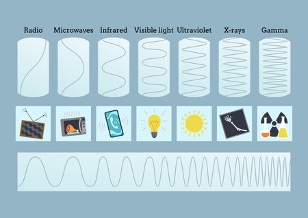 Radio wave spectrum icon set. Frequency audio waveform, volume level symbol. Electromagnetic radio and optical spectrum. Vector cartoon illustrationのイラスト素材