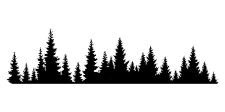 Fir trees silhouette. Coniferous spruce horizontal background pattern, black evergreen woods vector illustration. Beautiful hand drawn panorama of coniferous forestのイラスト素材