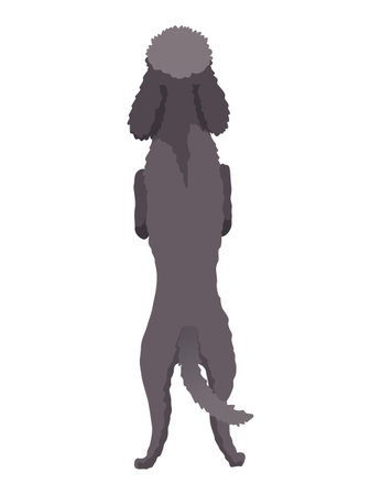 Dog hanging on border. Full body back view. Flat vector designのイラスト素材