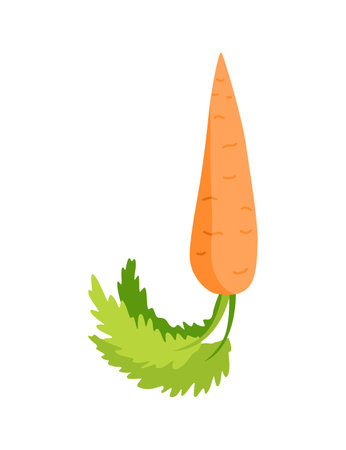 Veggie alphabet, English letter A made from fresh vegetables. Carrot. Decoration concept for books, menus or shops. Vegetable lettering design on white backgroundのイラスト素材