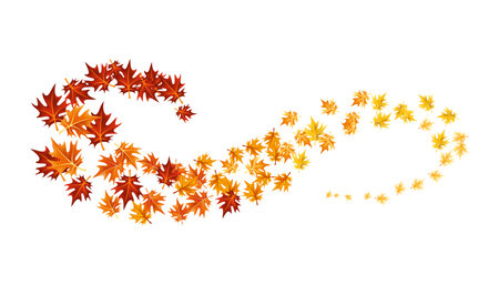 Autumn leaves design element. Fall colorful maple leaves border on white background. Vector illustrationのイラスト素材