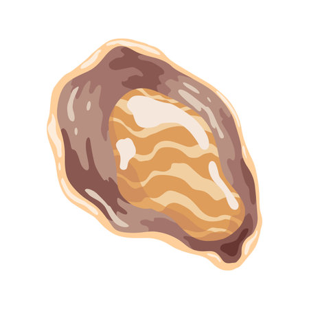 Oyster. Sea shell, cartoon icon. Ocean exotic underwater sink seashell aquatic mollusk. Tropical beach shells. Vector cartoon illustrationのイラスト素材