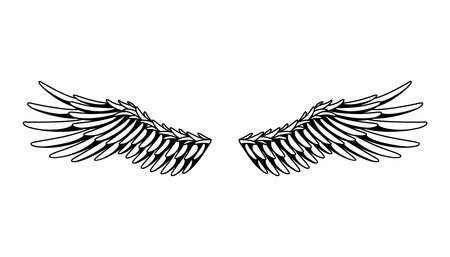 Wings sketch. Stylized birds wings. Hand drawn contoured stiker wing in open position. Vector design elements in coloring styleのイラスト素材