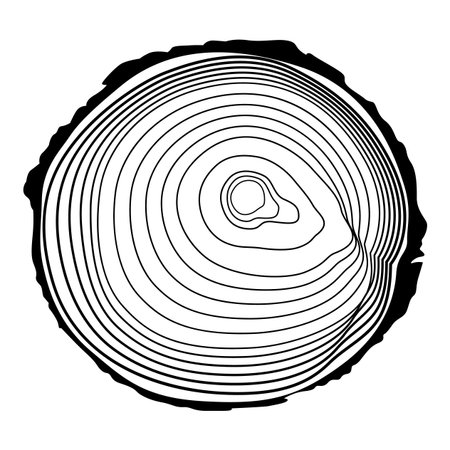Wooden logs texture. Wood concepts graphics, lumber circle top view. Vintage outline tree ring stump, cut trees structure racy vectorのイラスト素材