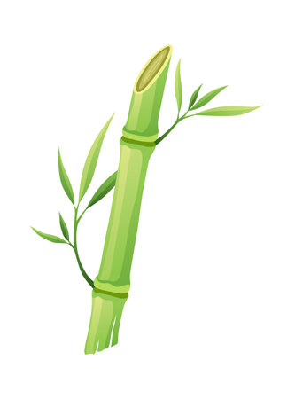 Bamboo green stalk, icon. Stem with leaf isolated on white background. Eco design of stick bamboo with foliage or leaves, vector illustrationのイラスト素材