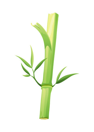Bamboo green stalk, icon. Stem with leaf isolated on white background. Eco design of stick bamboo with foliage or leaves, vector illustrationのイラスト素材
