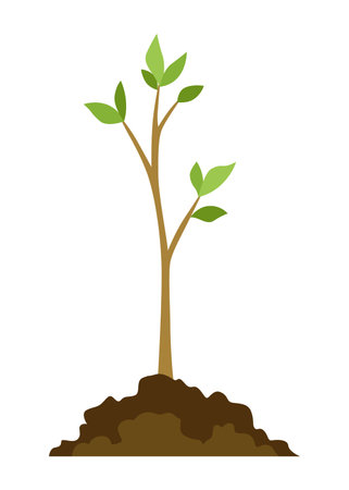 Stage of tree growth. Small tree growth with green leaf and branches. Illustration of business cycle developmentのイラスト素材