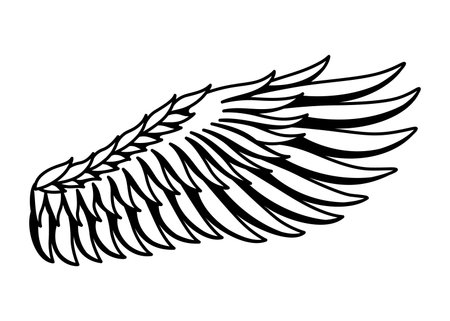 Wings sketch. Stylized birds wings. Hand drawn contoured stiker wing in open position. Vector design elements in coloring styleのイラスト素材