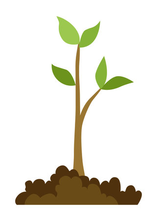 Stage of tree growth. Small tree growth with green leaf and branches. Illustration of business cycle developmentのイラスト素材
