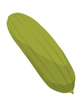 Homemade pickled cucumber. Clip-art of marinated food for packaging, label, menu, signboard or showcase. Fermented veggies, crunch gherkin with salt. Healthy vegetarian foodのイラスト素材