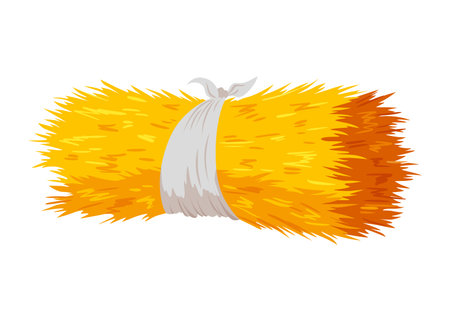 Roll of hay. Round hay bales. Dried haystack isolated on white background. Farming haymow bale hayloft vector illustration, haystack, hayrickのイラスト素材