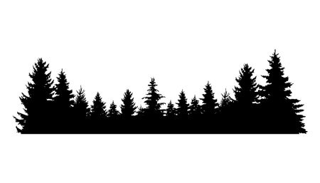 Fir trees silhouette. Coniferous spruce horizontal background pattern, black evergreen woods vector illustration. Beautiful hand drawn panorama of coniferous forestのイラスト素材