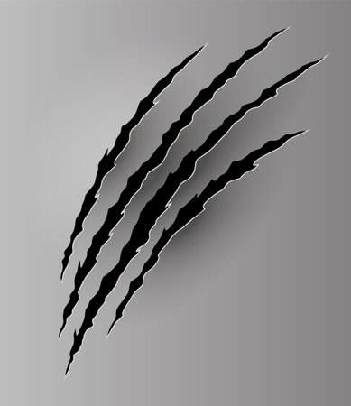 Bear or tiger claw mark. Scratches and torn traces of vector animal paw slashes. Hole in sheet of paper with torn edges. Vector illustrationのイラスト素材