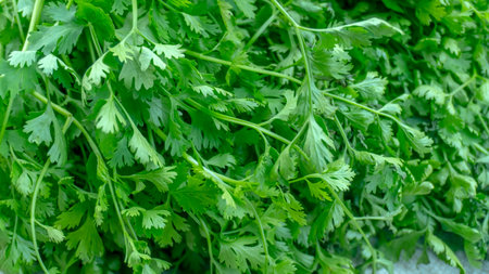 Fresh vegetable in the street market.