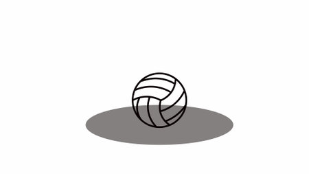 Volleyball Line on white color background.の写真素材