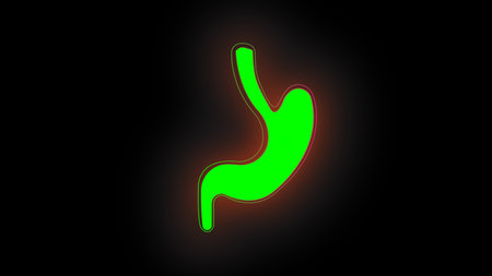 Human anatomy Stomach sign abstract design on black backgroundの写真素材