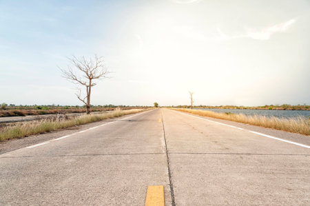 tree, road, alone, dream, travel, sunsetの写真素材