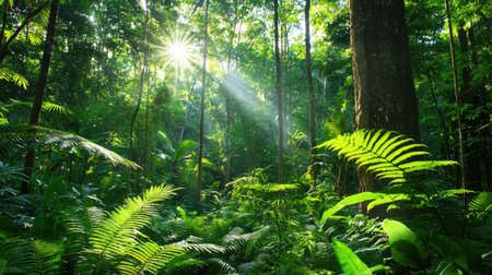 Experience the tranquility of nature as sunlight pierces through a dense forest canopy, illuminating vibrant ferns and lush greenery in this serene environment.の素材