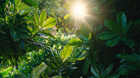 A beautiful scene with sunlight filtering through lush green leaves, showcasing nature's beauty in a tranquil garden setting. The vibrant foliage creates a serene atmosphere.の素材