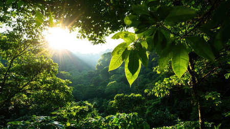 A stunning view of a serene forest during sunrise, showcasing lush greenery and sunlight filtering through dense leaves. This peaceful landscape evokes a sense of tranquility and connection with nature.の素材