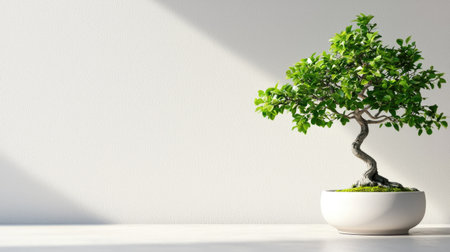 This image features a vibrant bonsai tree in a simple white pot, emphasizing a blend of nature and minimalism, ideal for interior decor projects.の素材