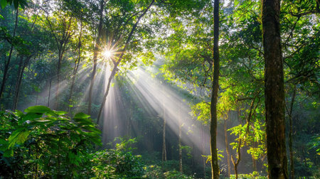Captivating view of sunlight filtering through a dense forest canopy, creating a magical atmosphere with vibrant green foliage and serene surroundings.の素材