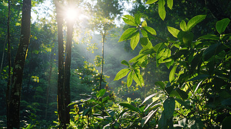 A stunning forest scene showcasing sunlight filtering through vibrant green leaves, creating a mesmerizing interplay of light and shadow in nature.の素材