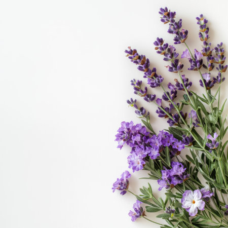 This image features a stunning arrangement of fresh purple flowers, highlighting their vibrant hues and delicate forms, perfect for decoration and design projects.の素材