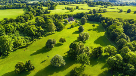 Experience the breathtaking beauty of expansive green fields and scattered trees in this tranquil aerial view. Perfect for nature lovers and outdoor enthusiasts.の素材