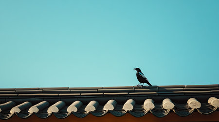 A Korean magpie perched on a traditional roof, leaving space for copy text in the sky.の素材