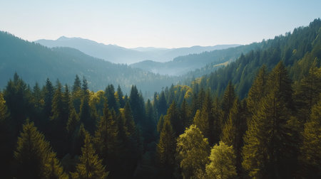 Aerial shot of a mountainous forest landscape, with tall trees and clear skies, leaving room for copy.の素材